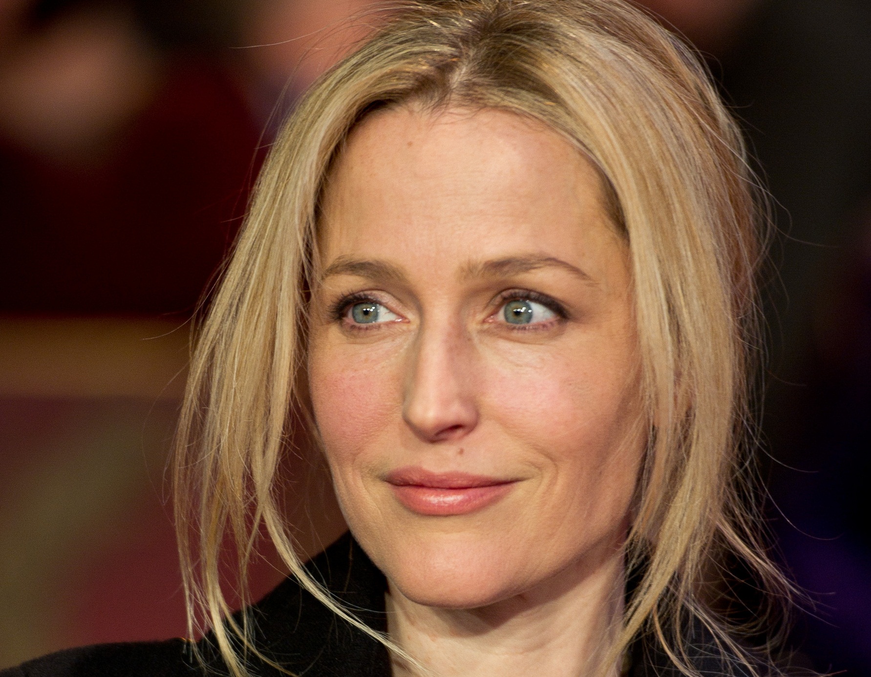 Gillian Anderson 376